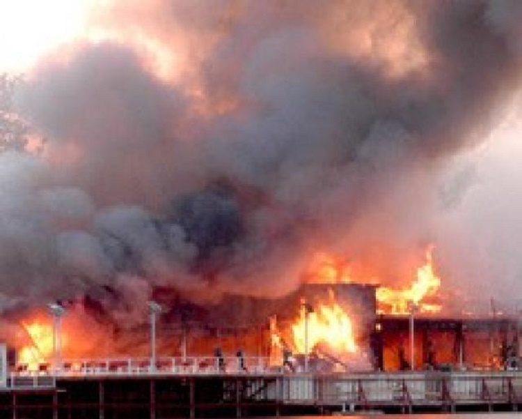 Bamboo – informații de ultimă oră (audio)