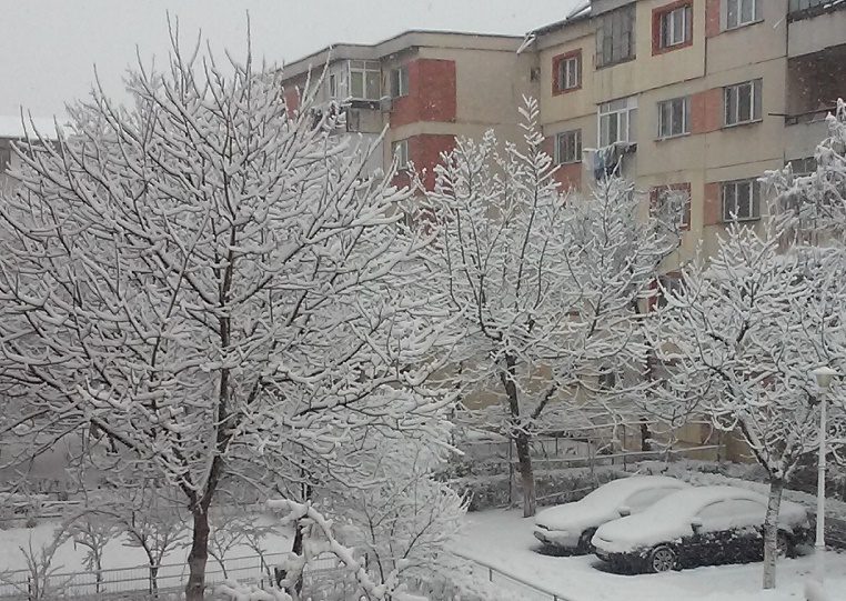 Azi despre ieri -17 ianuarie 2017