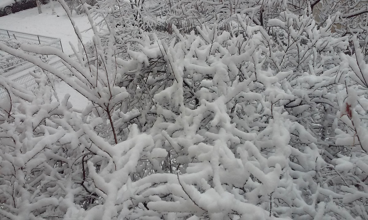 Azi despre ieri -18 ianuarie 2017