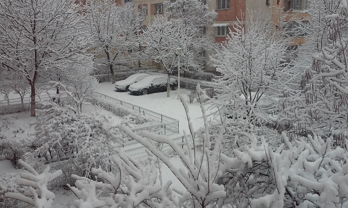 Azi despre ieri – 19 ianuarie 2017