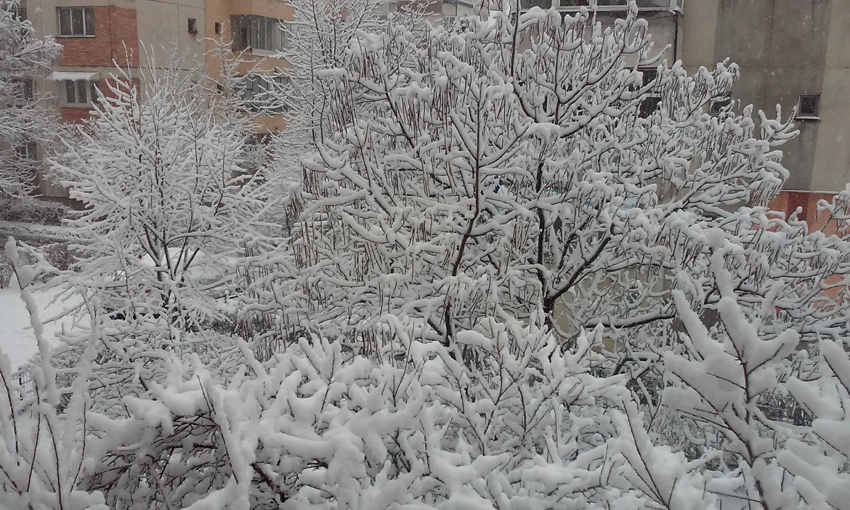 Azi despre ieri – 20 ianuarie 2017