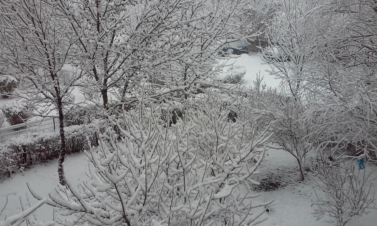 Vremea, astăzi, în Oltenia (audio)