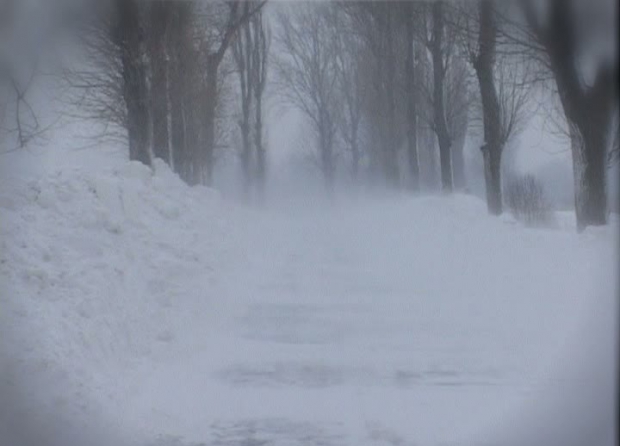 Intensificări ale vântului în Olt, Dolj și Mehedinți