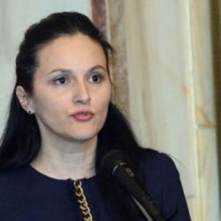 Alina Bica în fața Comisiei parlamentare (audio)