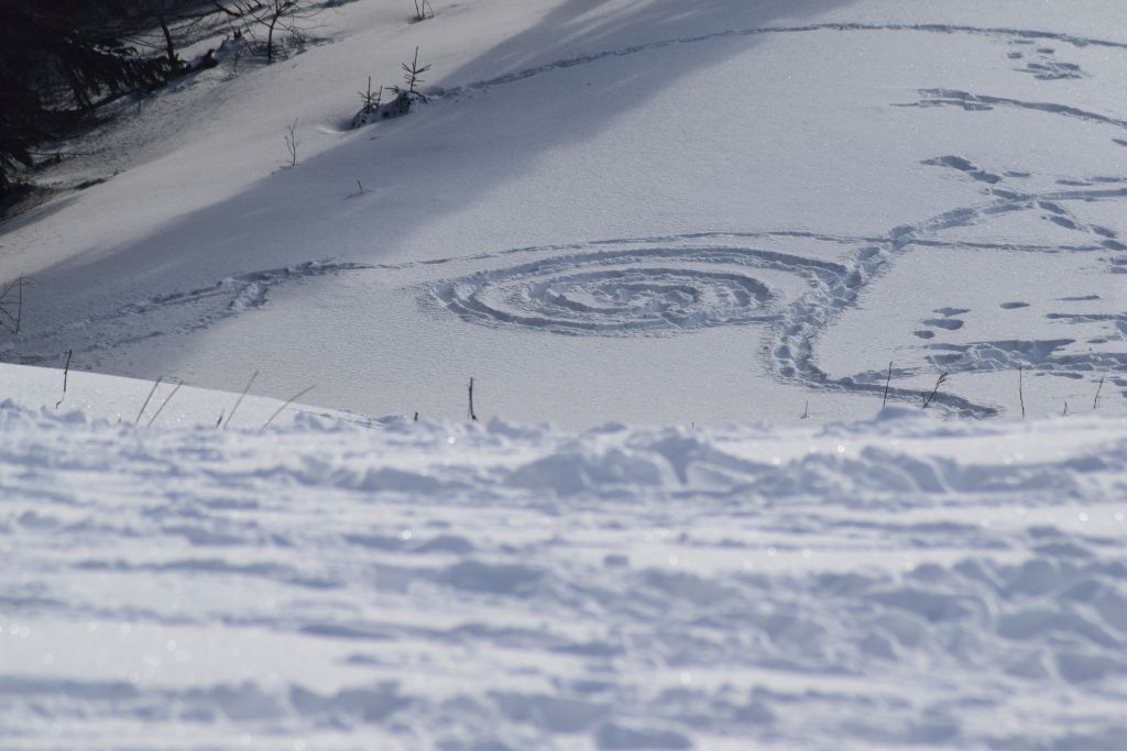 Poveștile clipei: „Pantele cărunte ale tăcutelor iubiri”