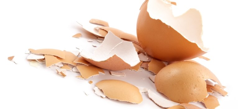 INEDIT: A fost produsa hartia din coji de oua!