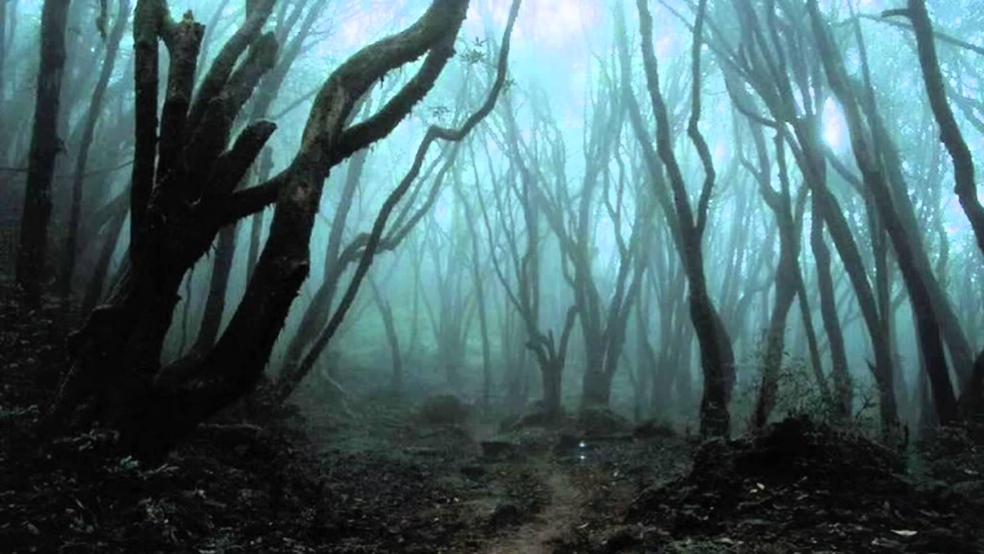 Romania, pe primul loc in topul celor mai inspaimantatoare locuri din lume!