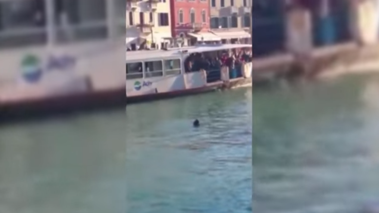Imigrant african înecat la Veneţia