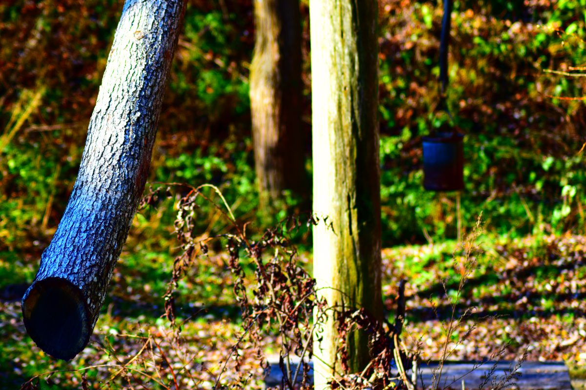 Azi despre ieri – 18 martie 2017