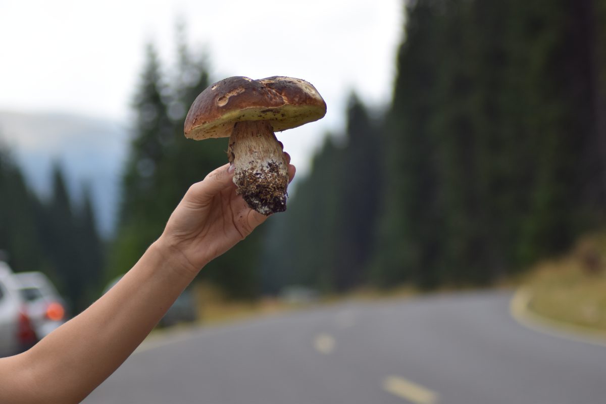 Azi despre ieri – 23 martie 2017