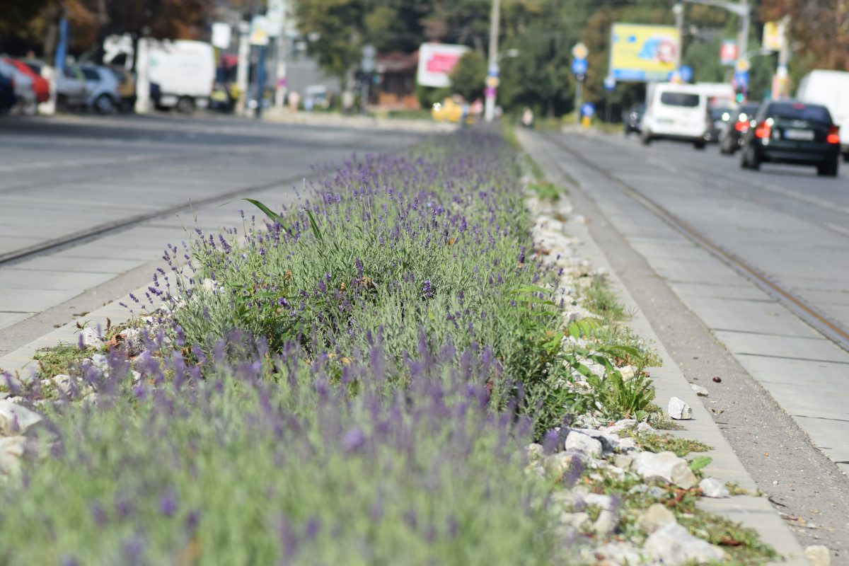 Azi despre ieri – 24 martie 2017