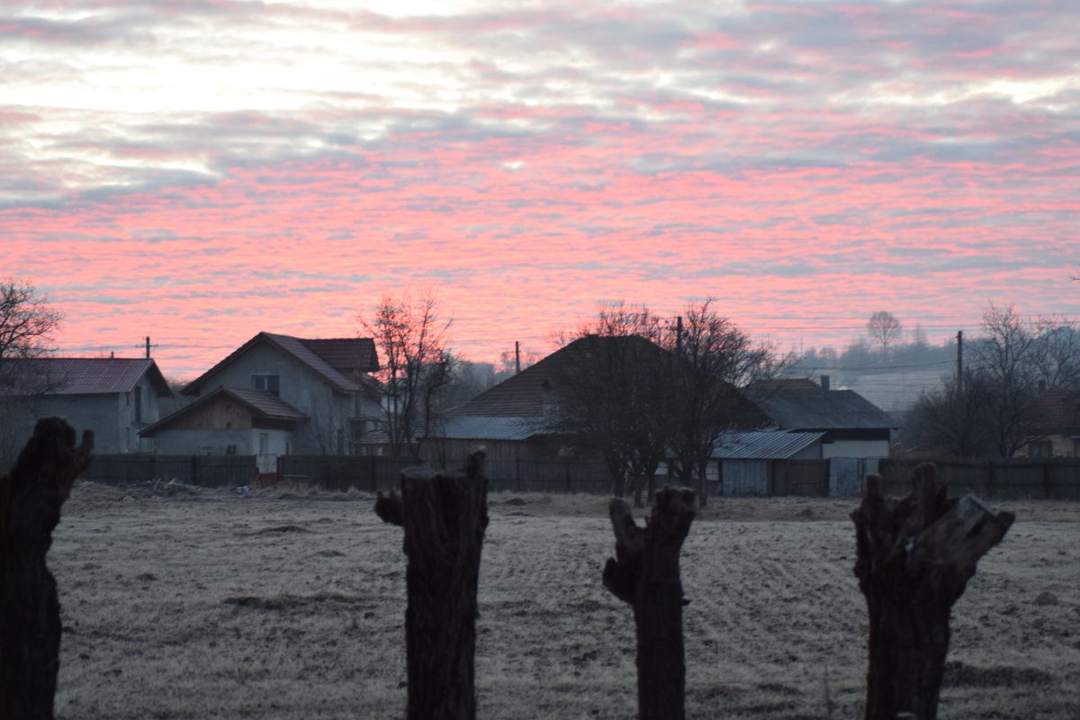 Azi despre ieri – 16 martie 2017