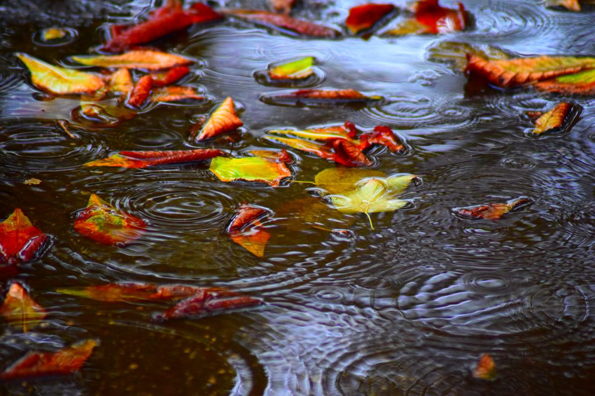 Azi despre ieri – 24 februarie 2017