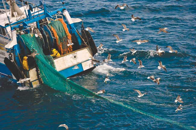 Aviz pentru România în domeniul pescuitului