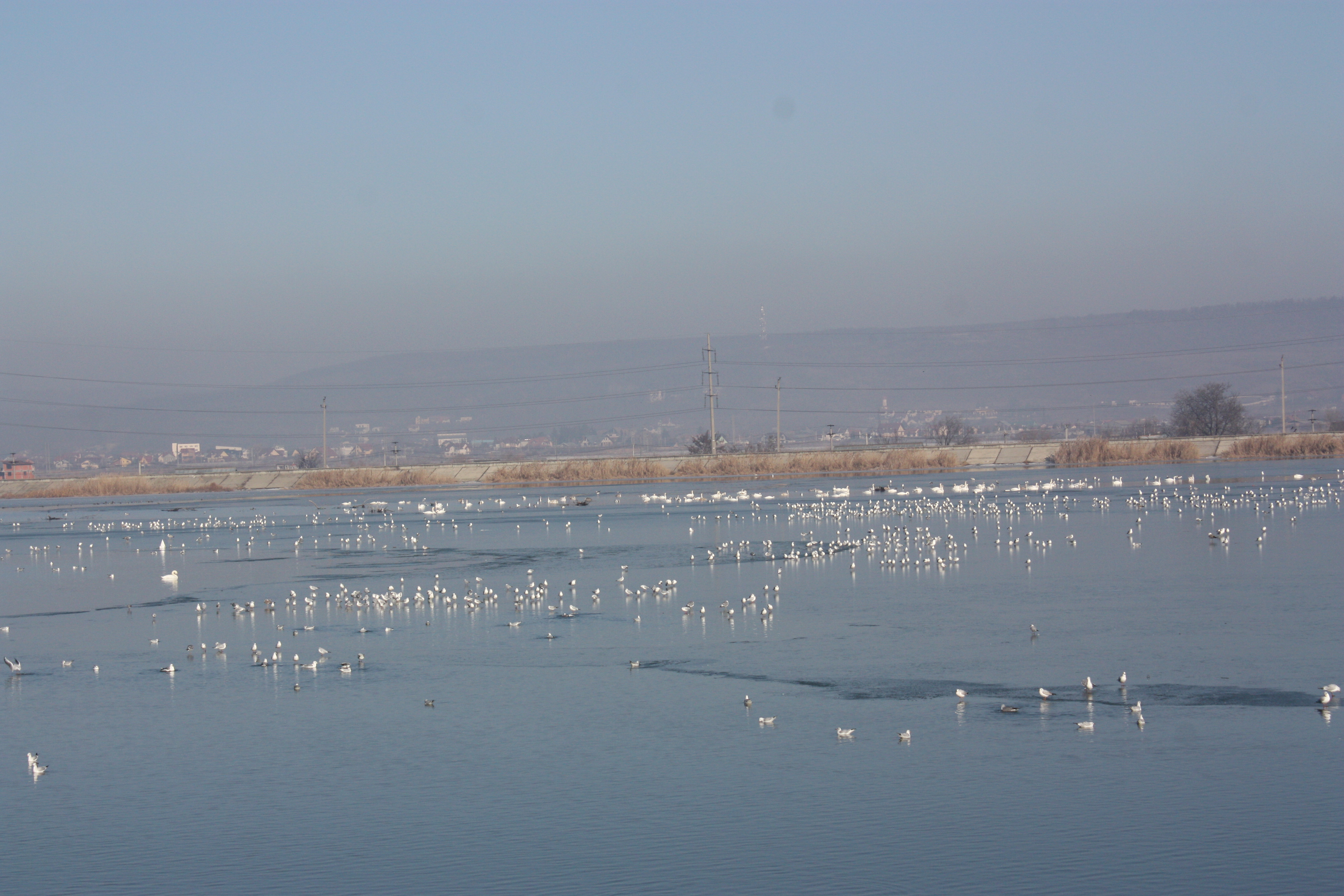 Ziua Mondială a Zonelor Umede în Argeș