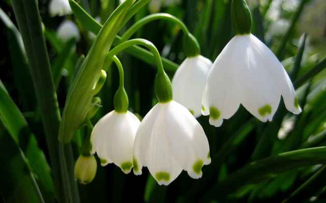 Meteo: Inca o zi extrem de calduroasa