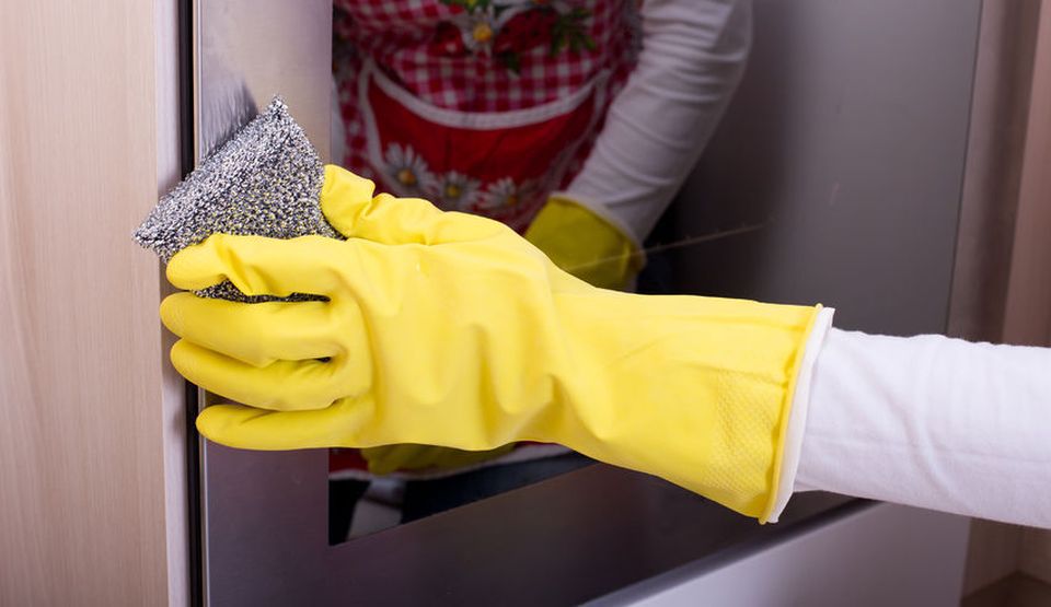 Organismele care trăiesc cu noi în casă şi pe care noi nu le vedem. Unele sunt foarte periculoase