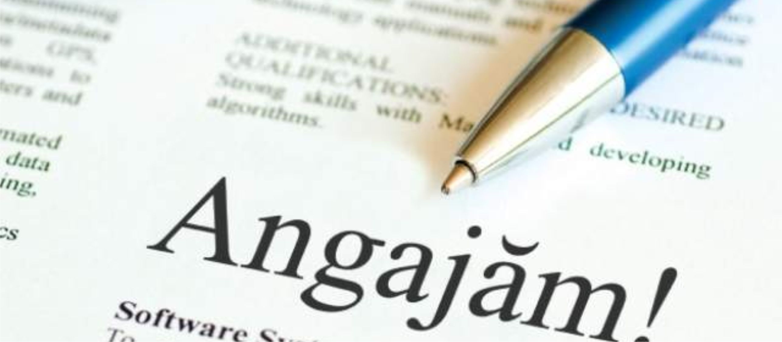 26 380 locuri de muncă vacante la nivel național