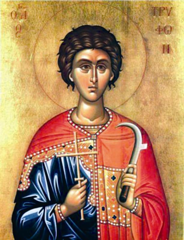 Sărbătoarea Sfâtului Trifon (audio)