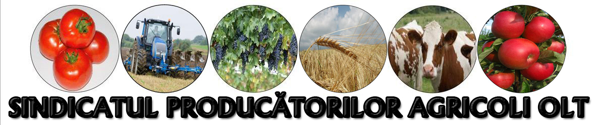 Sindicatul Producătorilor Agricoli Olt continuă întâlnire cu fermierii