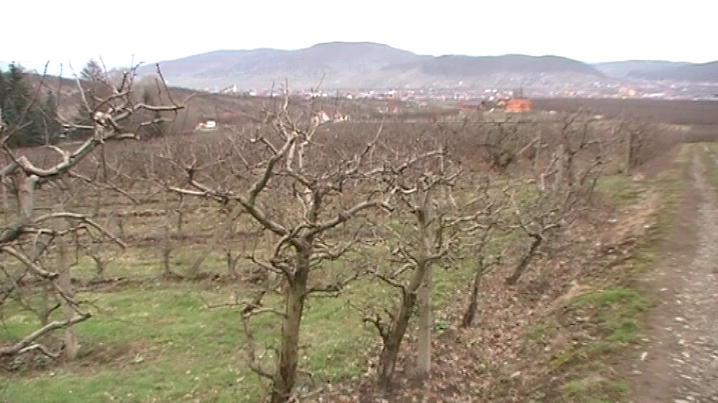 Stațiune falimentară