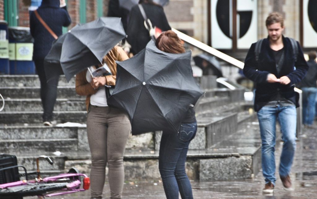 Cod galben de vânt puternic în cinci județe, în orele următoare