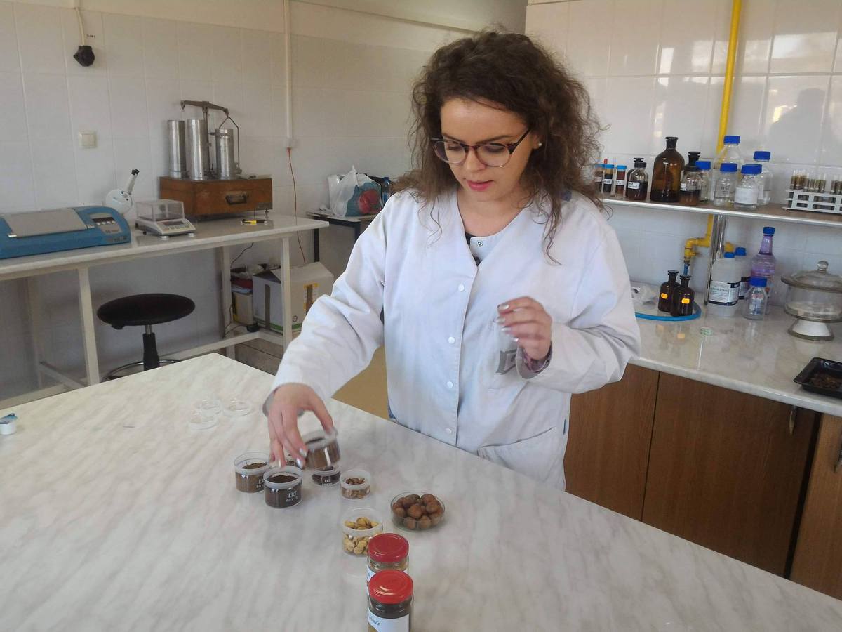O studentă din Cluj a INVENTAT o băutură din ghindă care poate ÎNLOCUI cafeaua şi are proprietăţi antioxidante