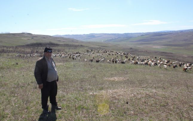 Ţăranul care a ridicat un imperiu agricol de la un viţel şi o palmă de pământ