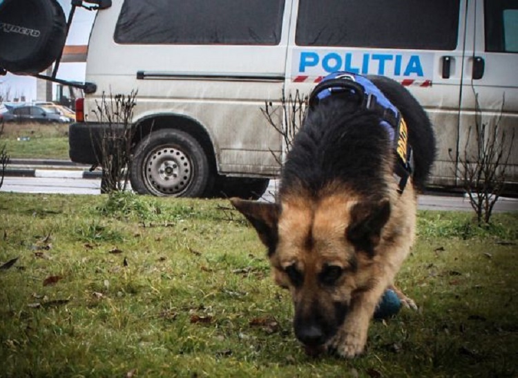 Acțiuni pentru stoparea imigrației ilegale