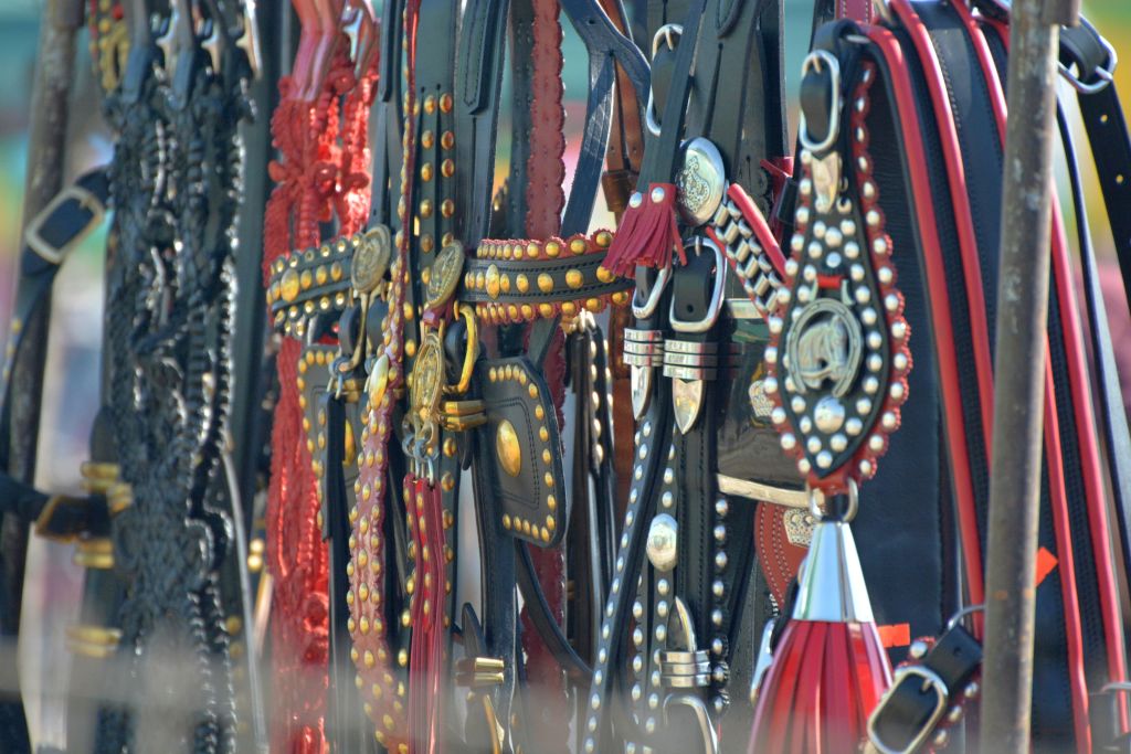 Poveștile clipei: „Am pus deoparte hamurile destinului”