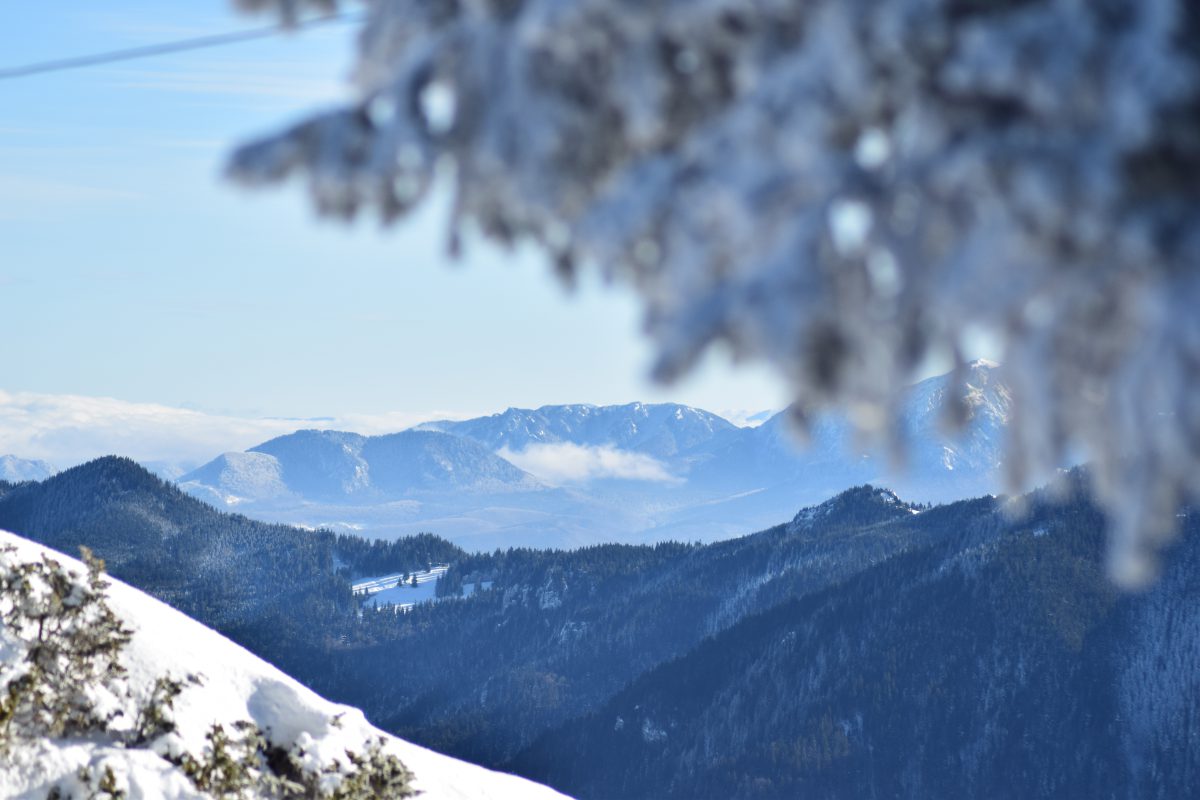 Azi despre ieri – 13 martie 2017