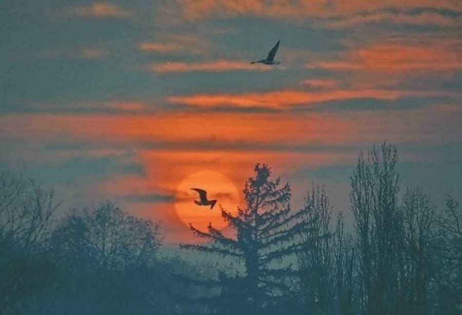 Prognoza meteo 28/29 ianuarie (audio)