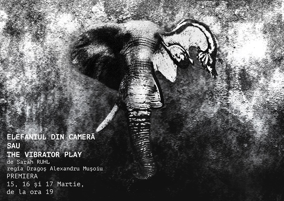 „Elefantul din Cameră”, la Teatrul Național „Marin Sorescu”