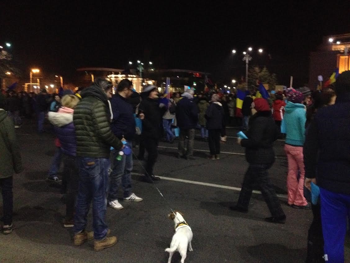 Noi manifestaţii în Bucureşti şi în ţară (audio)