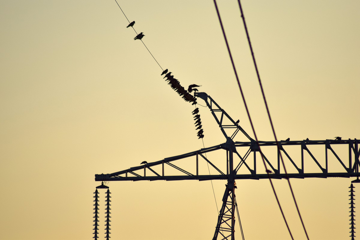 Vremea, astăzi, în Oltenia (audio)