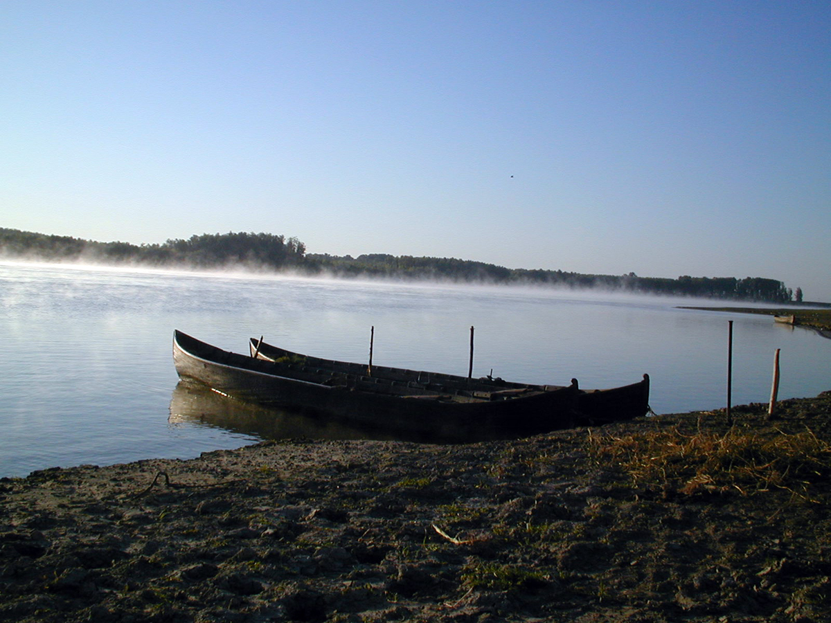 17 martie: Ziua Sarpelui sau inceputul Anului Piscicol