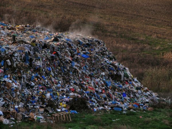 Orșova – stare de alertă și deșeuri neridicate de 50 de zile