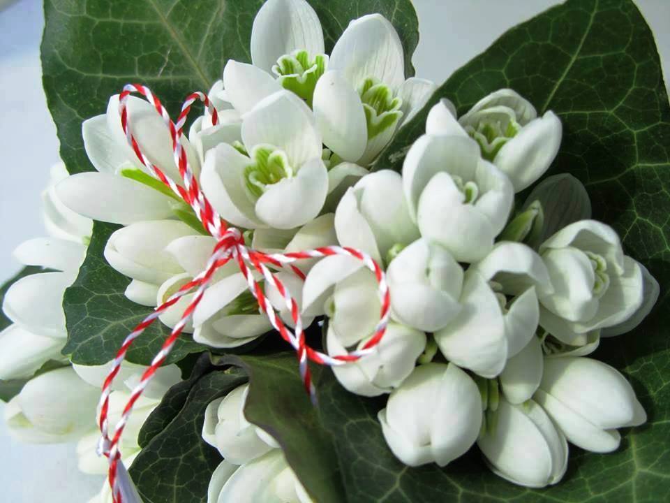 Patru centenare, premiate in Gorj de Ziua Femeii