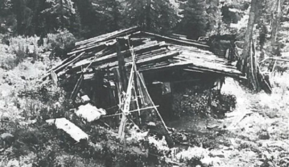 Timp de 40 de ani, o familie a trăit izolată în sălbăticie, nefiind conştientă de izbucnirea celui de-Al Doilea Război Mondial