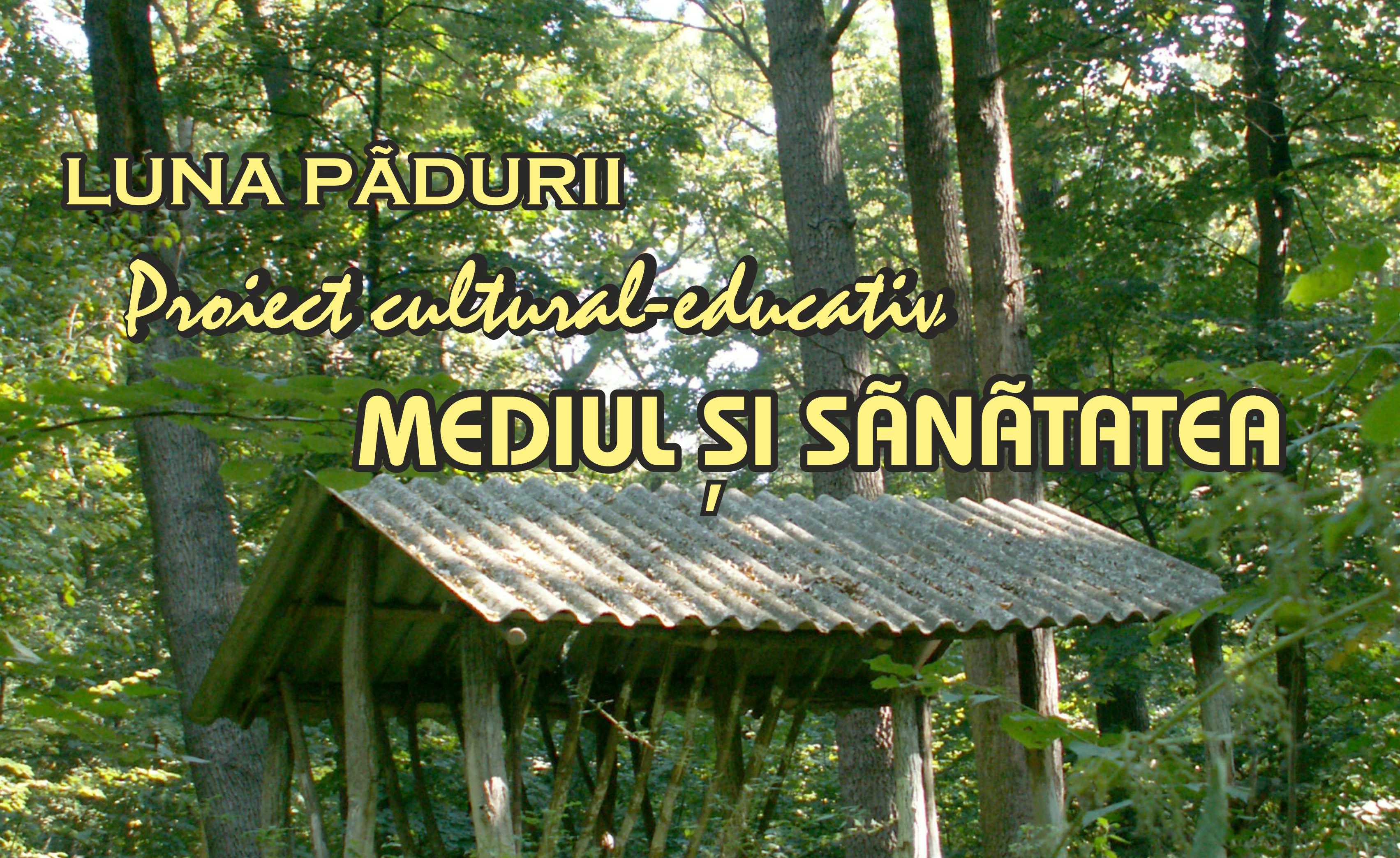 Proiect cultural-educativ la Muzeul Olteniei