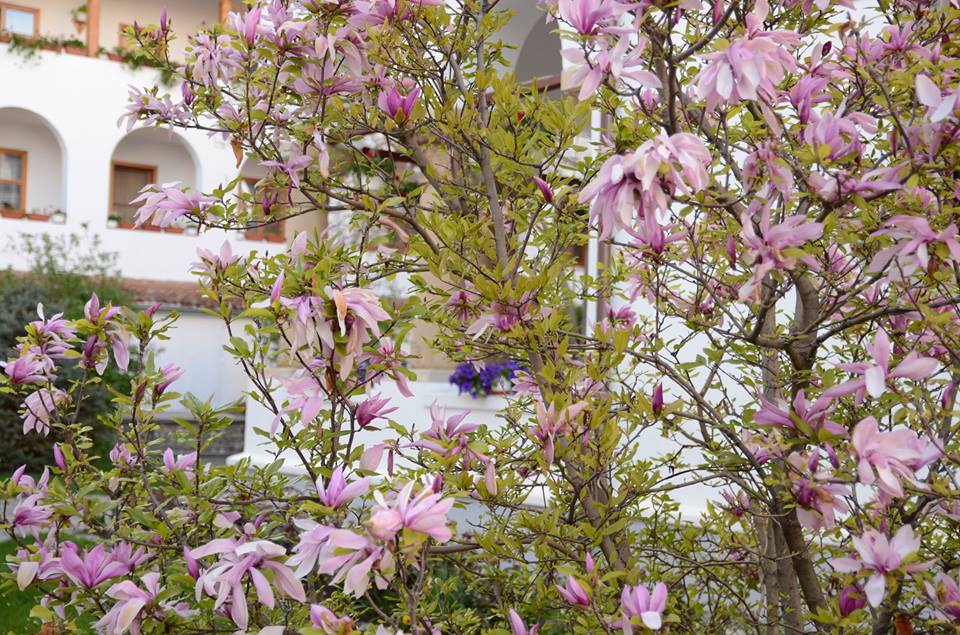 ANM: Vreme instabilă în ultimele zile din aprilie și pe 1 mai