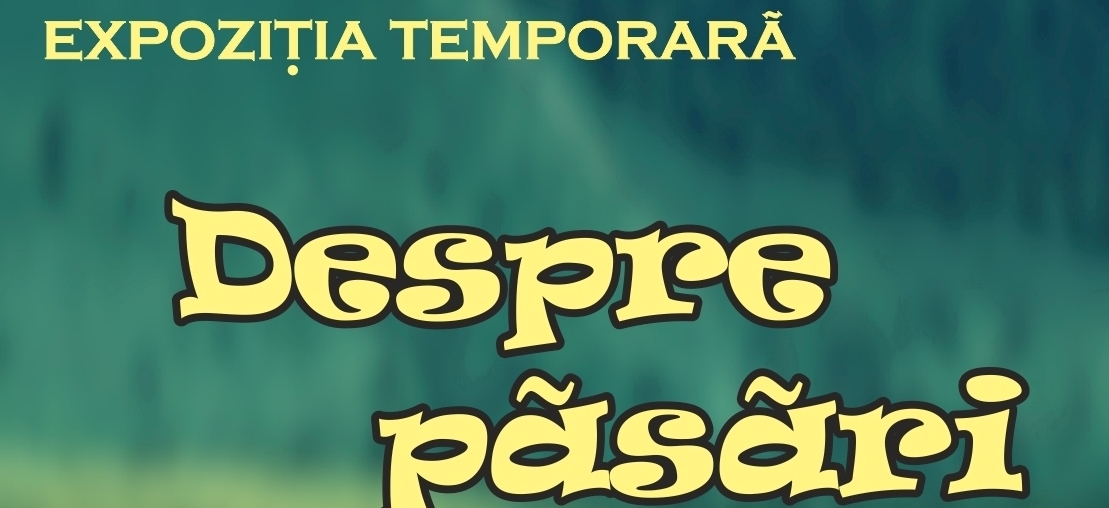 Despre Păsări la Muzeul Olteniei