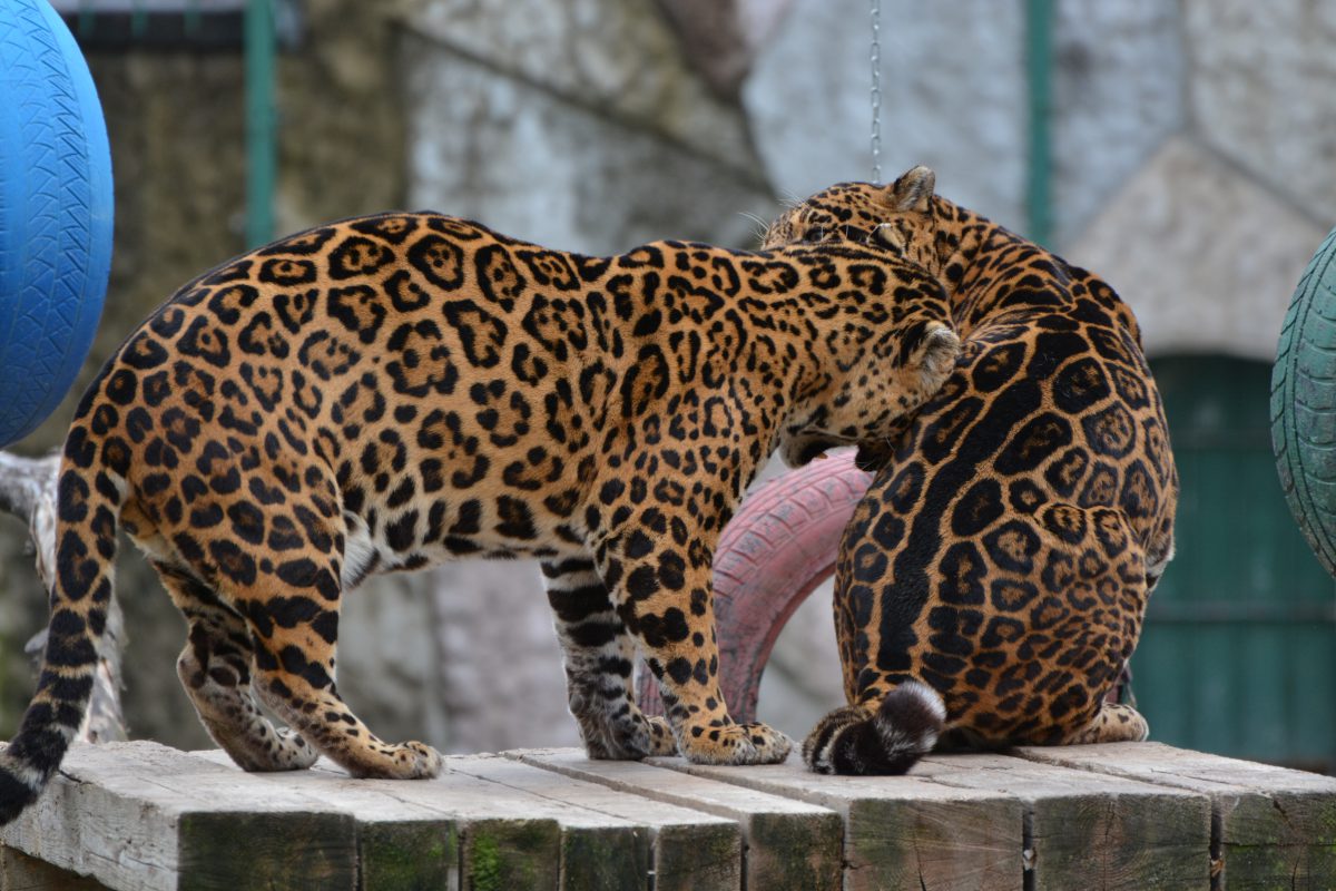 Azi despre ieri – 27 aprilie 2017