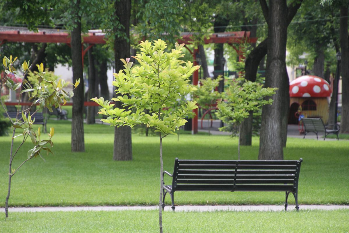 Azi despre ieri – 4 mai 2017