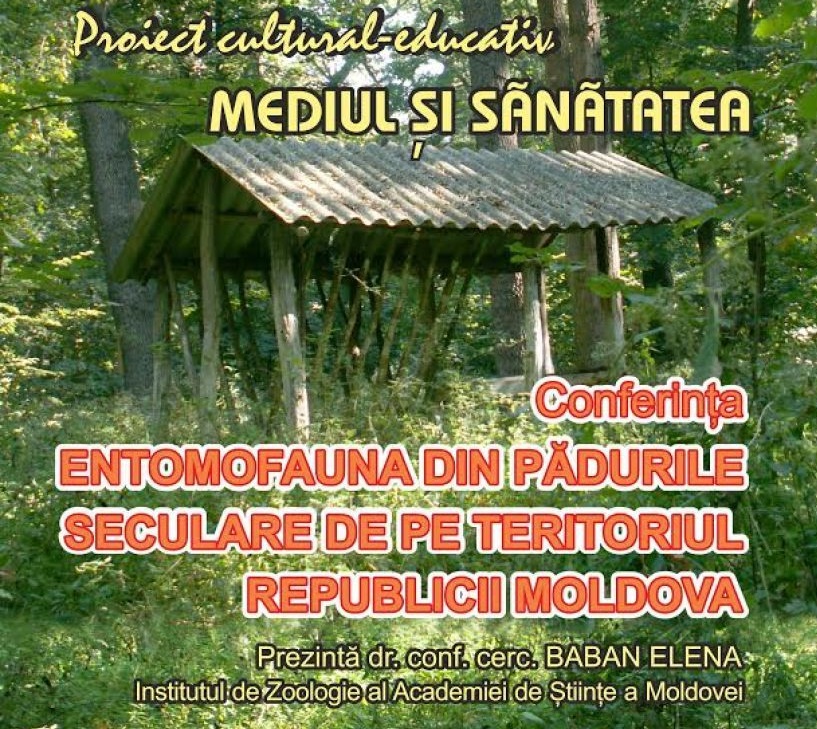 Mediul și Sănătatea – Conferință despre pădurile seculare