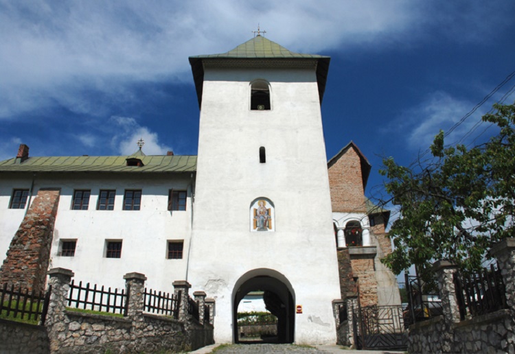 Atelier regional în Vâlcea