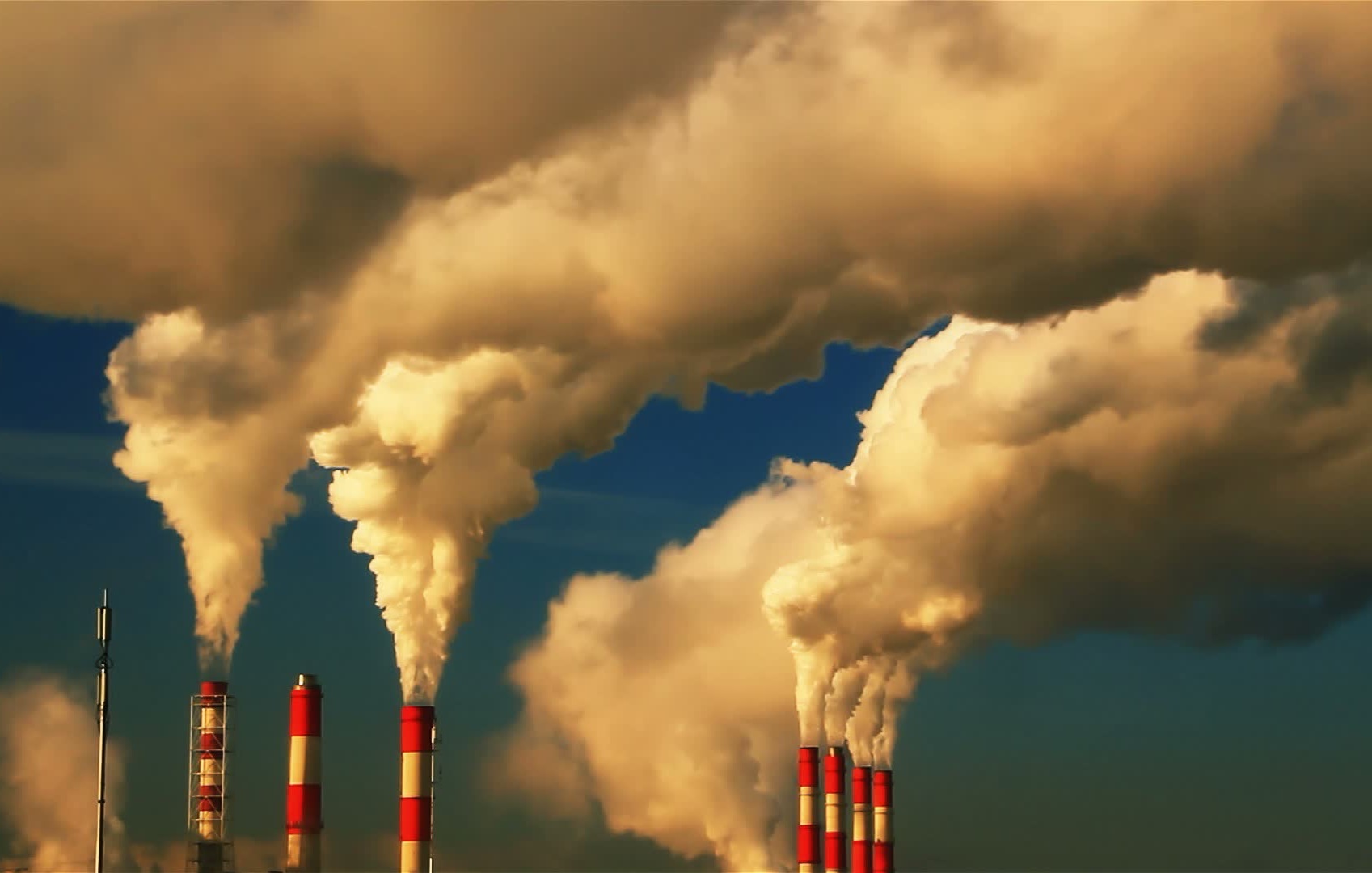 Reacții la decizia lui Trump (audio)