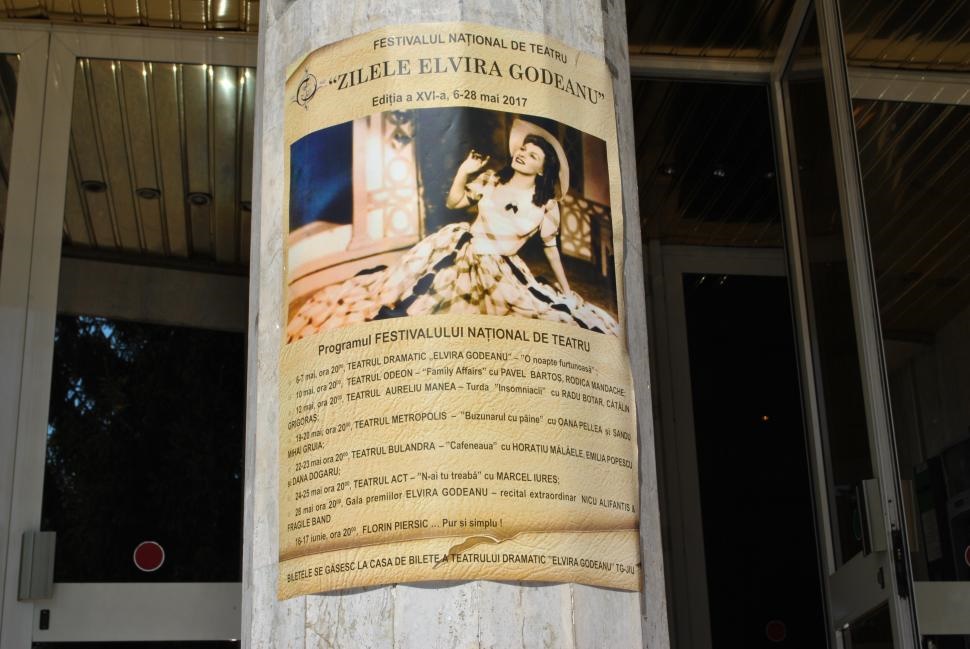 Zilele „Elvira Godeanu” (XVI)
