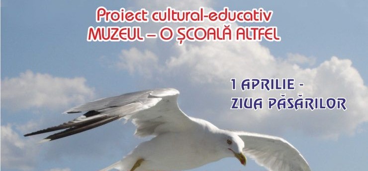 Ziua Păsărilor la Muzeul Olteniei