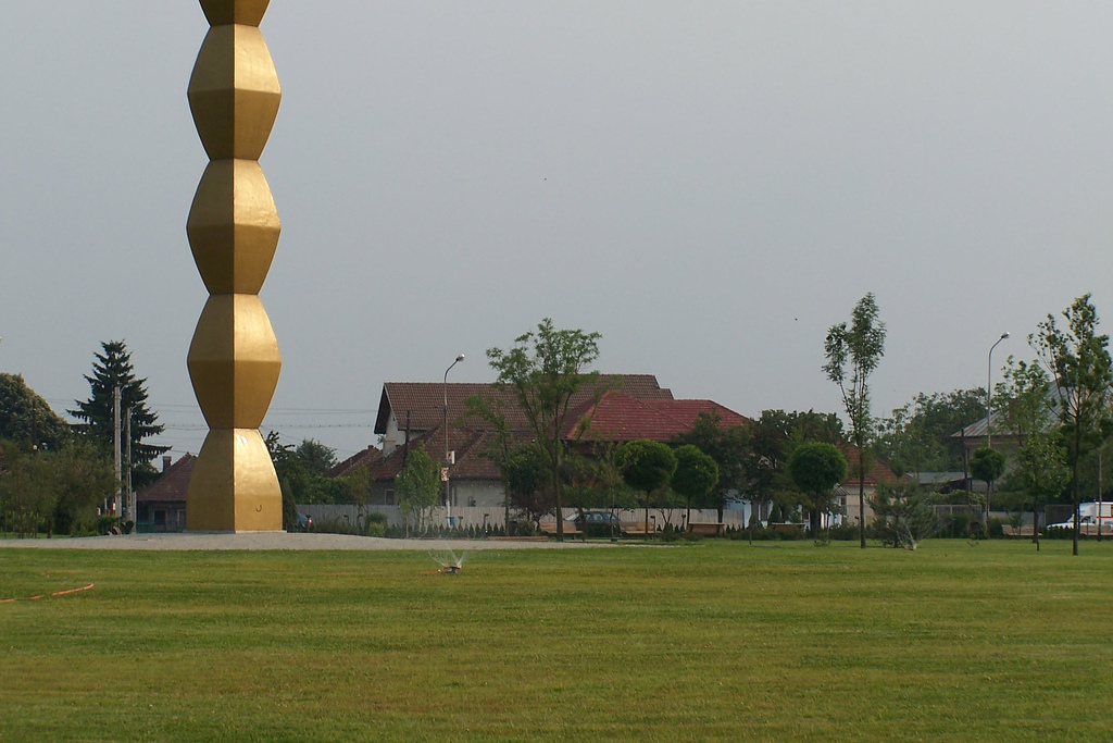 Operele lui Brâncusi vor fi supravegheate